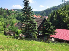 Large apartment in R beland in the Harz with cosy wood stove